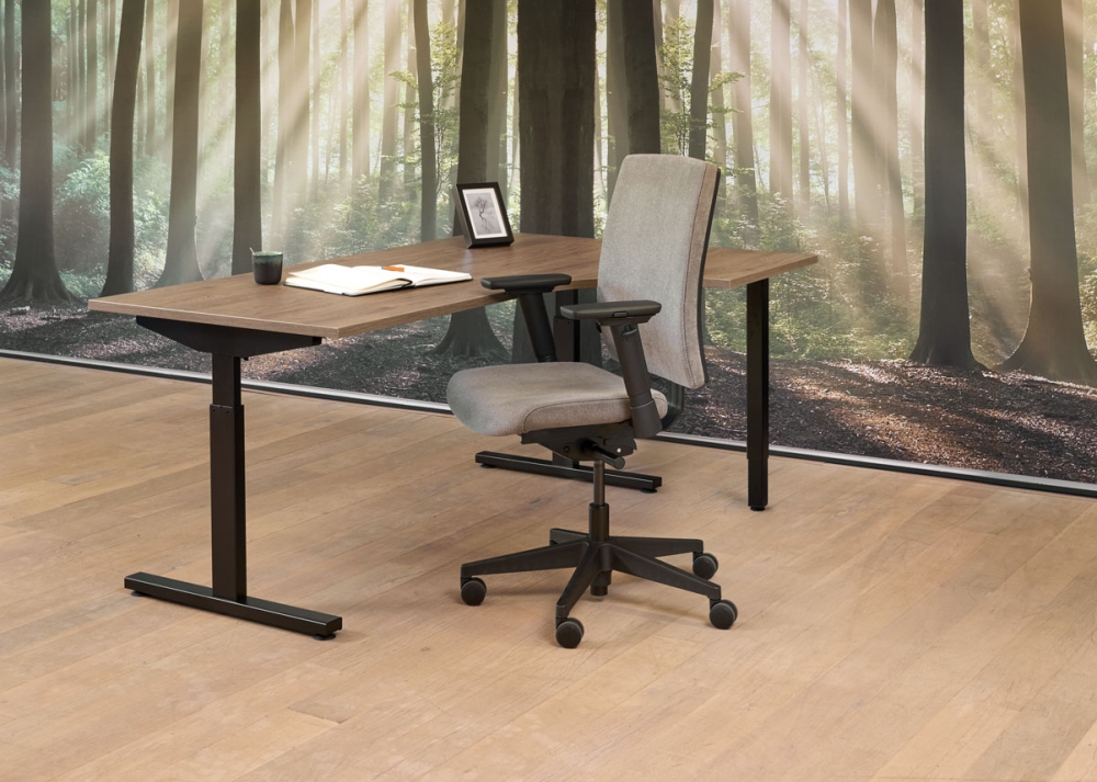Easy Wingbureau 180x120 rechts - Image 1